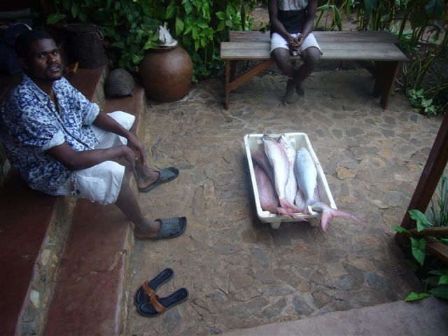 pesce 002.jpg (65390 byte)